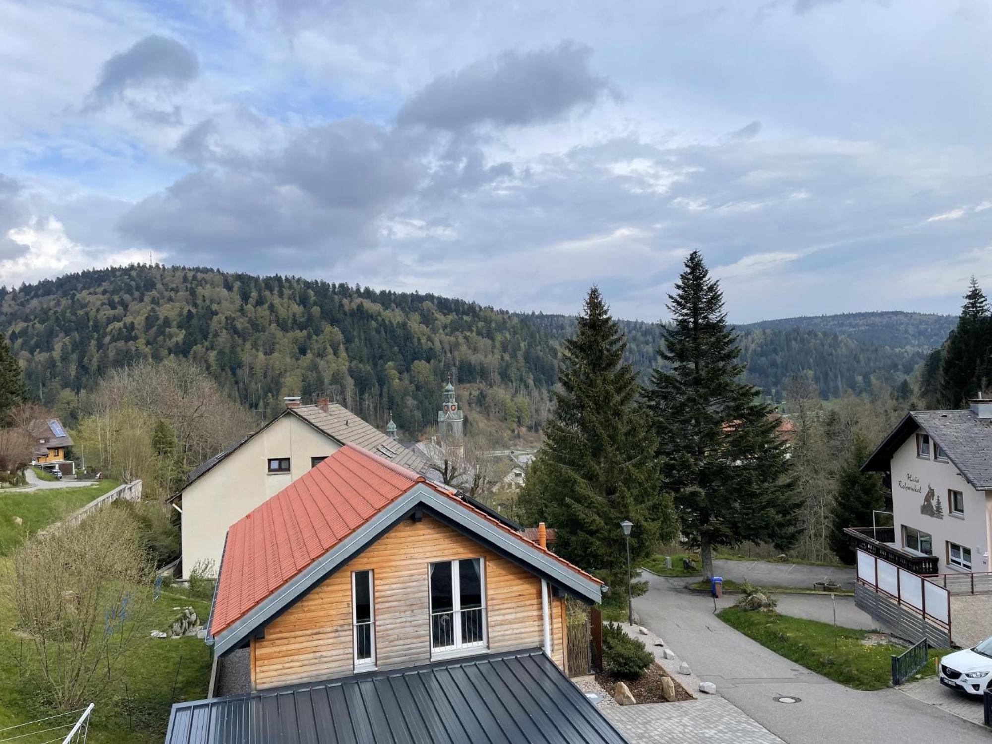 Traumferienwohnung Todtmoos - Appartment Mit Schoenem Wintergarten Esterno foto